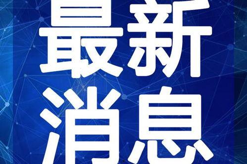 桂林最新新闻爆料案件视频,惊心动魄的真相揭露